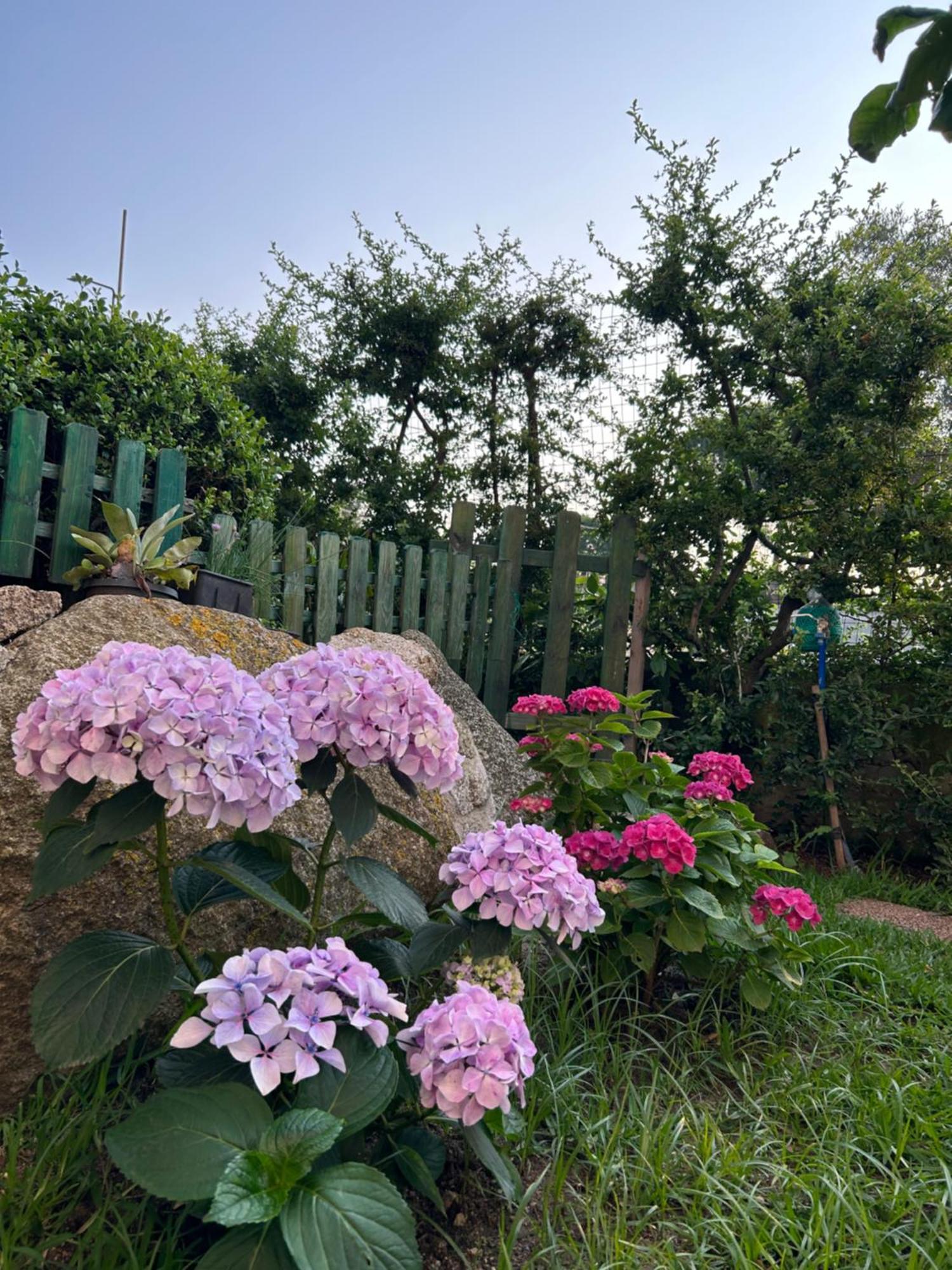Alto Giardino Lejlighed Zambrone Eksteriør billede