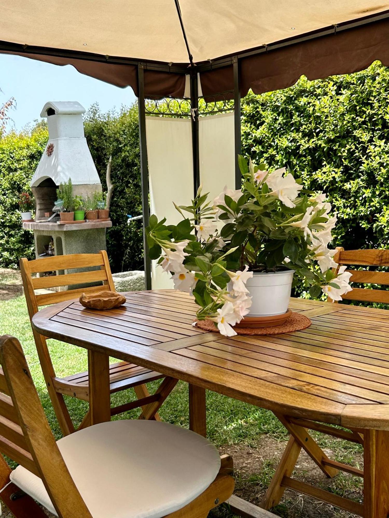 Alto Giardino Lejlighed Zambrone Eksteriør billede