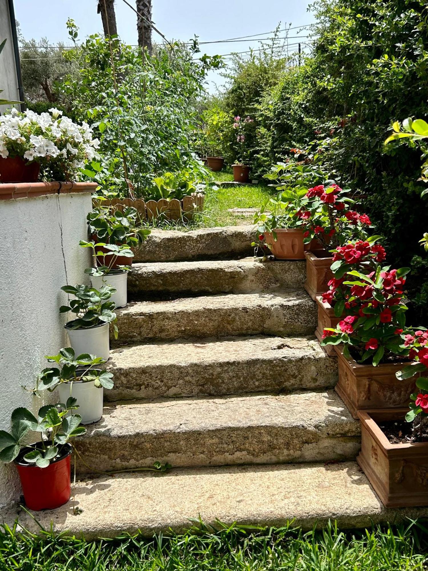 Alto Giardino Lejlighed Zambrone Eksteriør billede